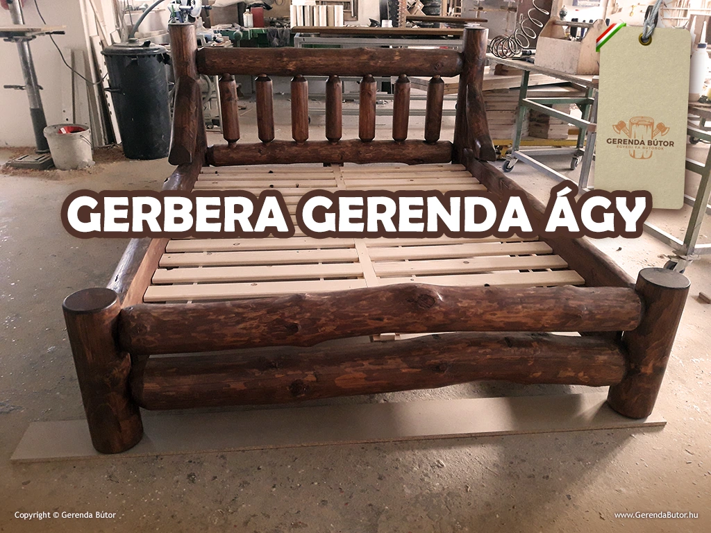 Gerbera rönkágy