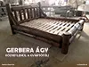 Gerbera rönkágy