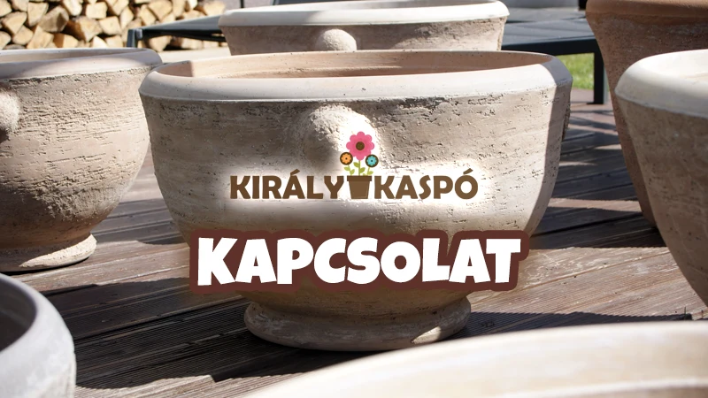 Király Kaspó kapcsolat