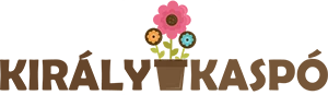Nyitólap