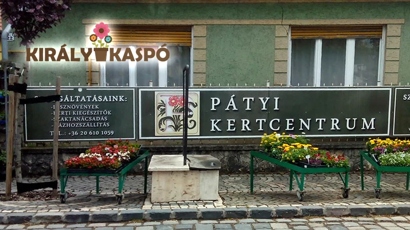 Pátyi Kaspó